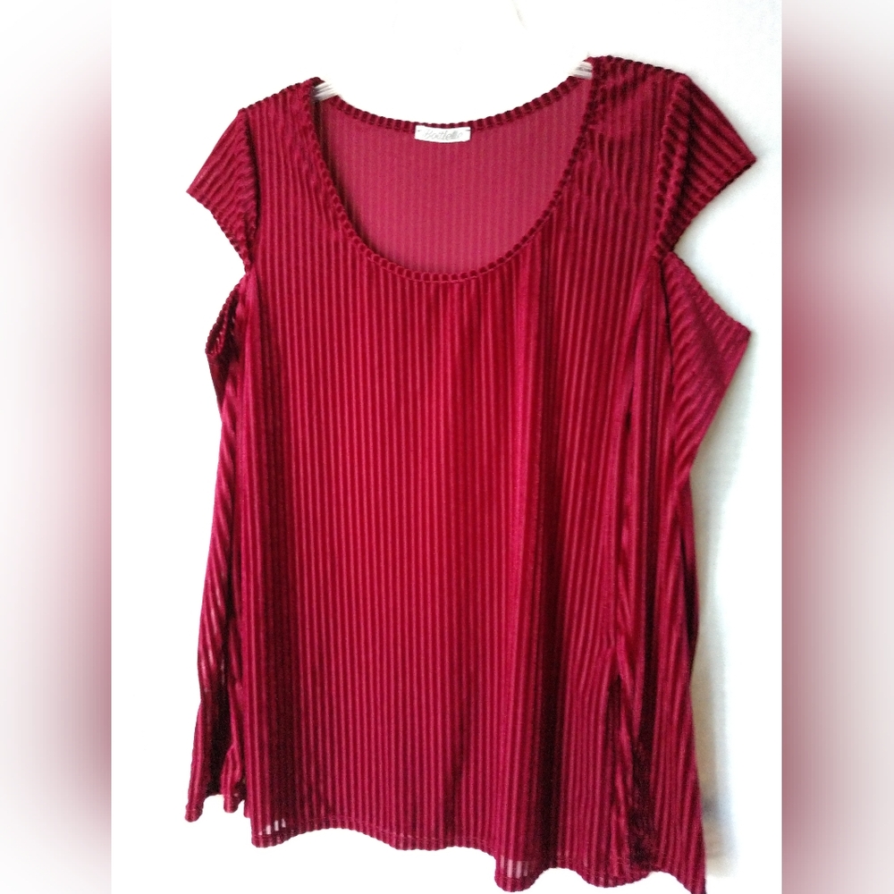 Bottlette Velvet Vertical Stripe Cold Arm Stretchy Shirt Top Red Large Chest 38"
